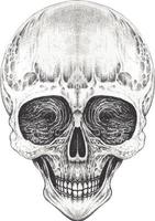 Art surreal skull. Hand drawing and make graphic vector. vector