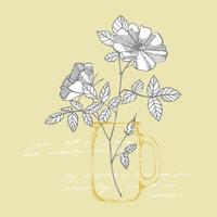 salvaje Rosa flores dibujo y bosquejo ilustraciones. decorativo floral conjunto para tela, textil, envase papel, tarjeta, invitación, fondo de pantalla, web diseño. escrito resumen texto vector