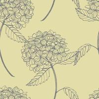 Hydrangea graphic illustration in vintage style. Flowers drawing and sketch with line-art on white backgrounds. Botanical plant illustration. Handwritten abstract text vector