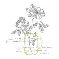 Wild rose flowers drawing and sketch illustrations. Decorative floral set for fabric, textile, wrapping paper, card, invitation, wallpaper, web design. Handwritten abstract text vector