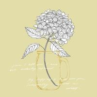 Hydrangea graphic illustration in vintage style. Flowers drawing and sketch with line-art on white backgrounds. Botanical plant illustration. Handwritten abstract text vector