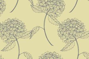 Hydrangea graphic illustration in vintage style. Flowers drawing and sketch with line-art on white backgrounds. Botanical plant illustration. Handwritten abstract text vector