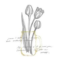 Tulip flower graphic sketch illustration. Botanical plant illustration. Vintage medicinal herbs sketch set of ink hand drawn medical herbs and plants sketch. Handwritten abstract text vector