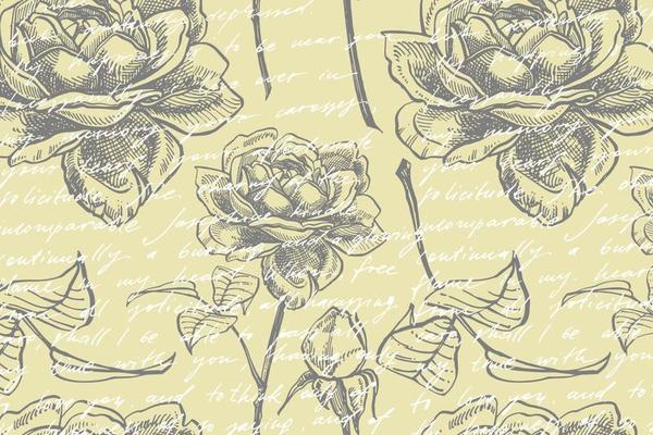 Roses. Hand drawn flower set illustrations. Botanical plant illustration. Vintage medicinal herbs sketch set of ink hand drawn medical herbs and plants sketch. Seamless patterns