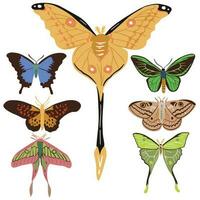 sets of beautiful moth and butterfly, good for graphic design resources vector