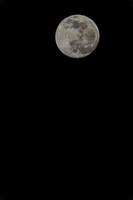 luna llena en la noche foto