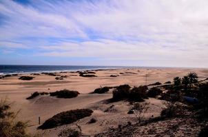 Sand dunes by the sea photo