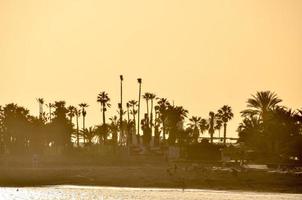 Sunset over the sea photo