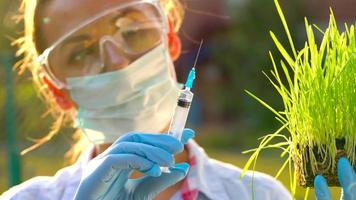 Woman agronomist in goggles and a mask examines a sample of soil and plants video