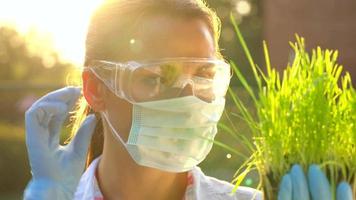 femme agronome dans des lunettes de protection et une masque examine une échantillon de sol et les plantes video