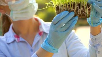 Woman agronomist in goggles and a mask examines a sample of soil and plants video