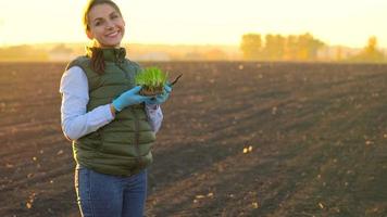 hembra granjero soportes con un muestra de plántulas en su mano acerca de a planta eso en el suelo. video