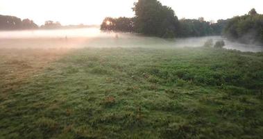 Aerial view of the meadow and river covered with fog at dawn. Ukraine video