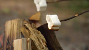 marshmallow estão fritar, assar em a Gravetos acima a fogueira, ao ar livre video