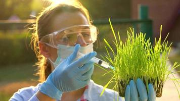 mulher agrônomo dentro óculos e uma mascarar examina uma amostra do solo e plantas video