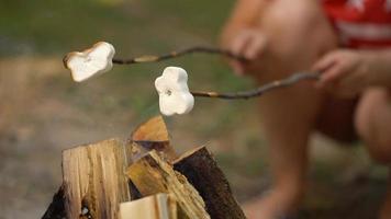 marshmallow siamo frittura, torrefazione su il bastoni sopra il falò, all'aperto video