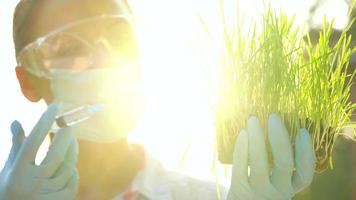 mujer agrónomo en gafas de protección y un máscara examina un muestra de suelo y plantas video