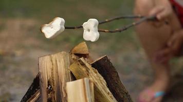 marshmallow siamo frittura, torrefazione su il bastoni sopra il falò, all'aperto video