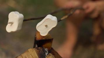 marshmallow siamo frittura, torrefazione su il bastoni sopra il falò, all'aperto video