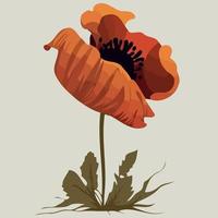 One red poppy flower vector