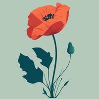 One red poppy flower vector