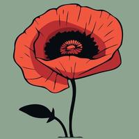 One red poppy flower vector