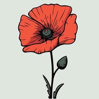 One red poppy flower vector