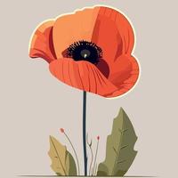 One red poppy flower vector