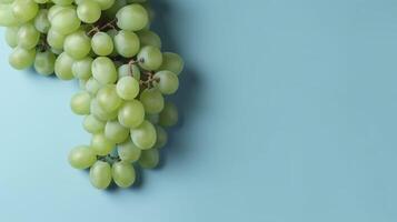 Banner with green grape. Copy space, top view, summer background. . photo