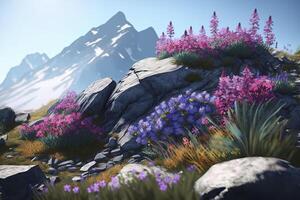 Alpine slide. . photo