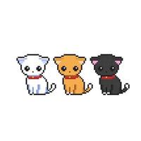 cute kitty collection set with different color in pixel art style vector