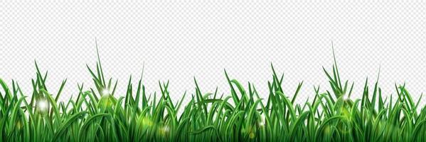 Isolated green grass lawn border illustration vector