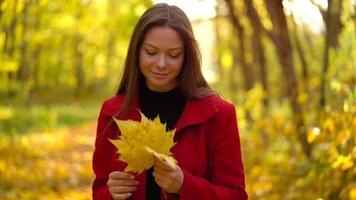 Porträt von ein schön lächelnd Mädchen mit ein Gelb Ahorn Blatt im das Vordergrund im das Herbst Wald. schleppend Bewegung video