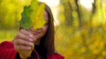 portret van een mooi glimlachen meisje met een geel esdoorn- blad in de voorgrond in de herfst Woud. langzaam beweging video