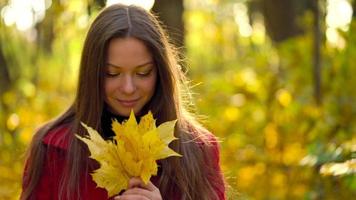 retrato de un hermosa sonriente niña con un amarillo arce hoja en el primer plano en el otoño bosque. lento movimiento video