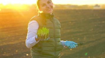 fêmea agricultor carrinhos com uma amostra do mudas dentro dela mão sobre para plantar isto dentro a solo. video