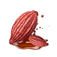 3d cacao on chocolate splash png