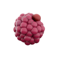 3d tolkning tecknad serie hallon ikon. 3d framställa röd Färg färsk bär ikon. tecknad serie hallon. png