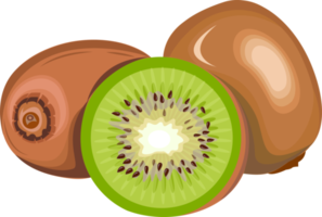 sur grön kiwi illustration png