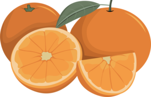 Sweet Chinese Orange Illustration png