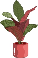 Red Green Leaf Potted Plant png