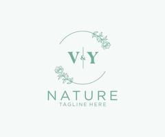 initial VY letters Botanical feminine logo template floral, editable premade monoline logo suitable, Luxury feminine wedding branding, corporate. vector