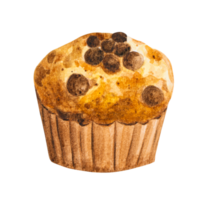 Muffin chocolate chip hand drawn watercolor png