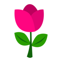flor ilustración diseño con rosado color png