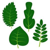 conjunto de cuatro hojas verdes sobre fondo blanco. ilustración vectorial vector