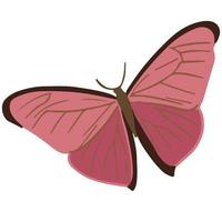 hermosa rosado mariposa, bueno para gráfico diseño recursos vector
