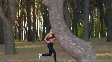 fechar acima do mulher com fones de ouvido corrida através a outono floresta às pôr do sol video
