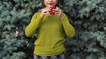 Woman hands holding a cozy red mug against the background of pine branches video