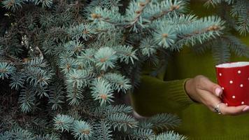 Woman hands holding a cozy red mug against the background of pine branches video