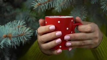 vrouw handen Holding een knus rood mok tegen de achtergrond van pijnboom takken video